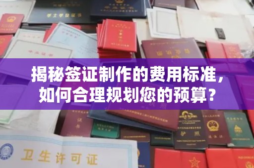 山海关揭秘签证制作的费用标准，如何合理规划您的预算？